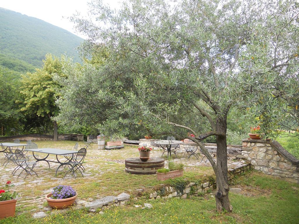 Villa Il Giardino Degli Ulivi Castelraimondo Exterior foto